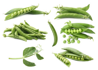 Fresh green peas and pods isolated on white, set