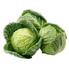 Fototapeta premium Three fresh green savoy cabbages with water droplets isolated on transparent background