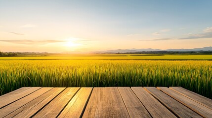 Picturesque rural scene featuring a vast green field with lush grass framed by a wooden deck overlooking the tranquil horizon during a vibrant sunrise or sunset