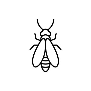 Minimal Line Icon of a Parasitoid Insect