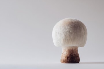 The image features fresh Lion's Mane mushrooms on a clean white background