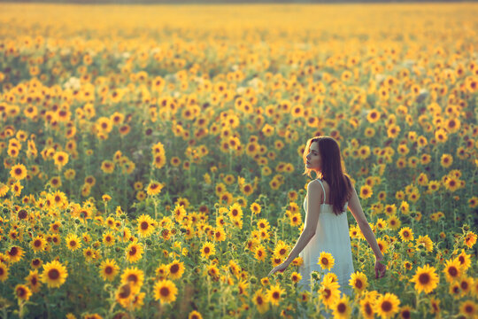 Young woman walking away in a field of sunflowers, view from her back, copy space