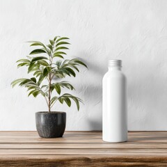 Empty bottle and plant on wooden table