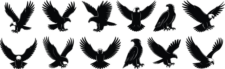 Obraz premium Eagle silhouette, flying raptor, bird of prey, majestic eagle, wings spread, fierce predator, wildlife bird, eagle vector, hawk illustration, powerful wings,