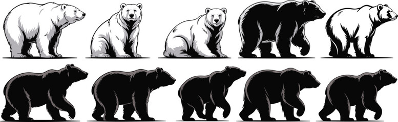 Polar bear, grizzly bear, walking bear, sitting bear, bear silhouette, wild animal, bear vector, wildlife, illustration, predator, forest, arctic, strength, nature, mammal,