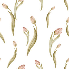 Watercolor floral seamless pattern. Hand painted leaves, meadow flowers, tulips. isolated on white background. Botanical illustration for textile, print, digital paper
