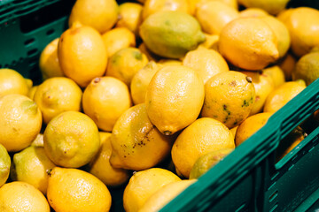 Box of imperfect lemons at supermarket, overripe damaged fruits for sale.