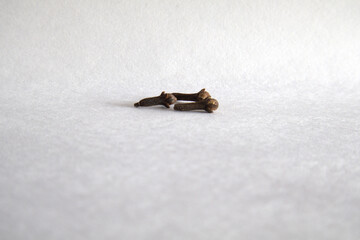 Cloves on a white background