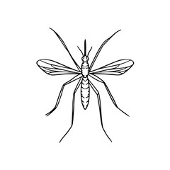 mosquito insect outline vector