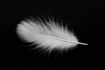 Obraz premium Single Delicate White Feather Isolated on Dark Black Background for Minimalism, Texture and Softness Concepts