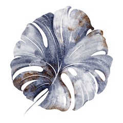 Watercolor illustration of one blue monstera leaf. Hand-drawn botanical element with minimal foliage design. Isolated plant for tropical, jungle, nature, or floral decoration themes. © Elena