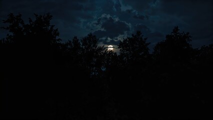 Fototapeta premium Dark trees silhouetted against a large moon on a gloomy night