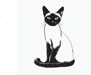 black and white cat vector illustration