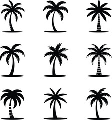 Collection of diverse black silhouette palm trees on white background