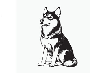 Fototapeta premium black and white dog