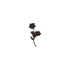 botanical plants, herbs, and wildflowers