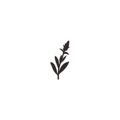 botanical plants, herbs, and wildflowers