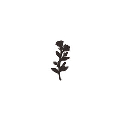 botanical plants, herbs, and wildflowers