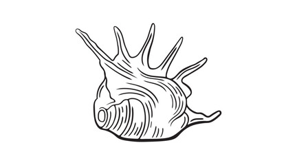 Spiky murex seashell line art icon. Coastal hand drawn doodle element. Sketch marine sea themed clipart for logos, patterns  