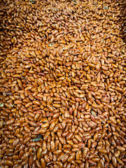 High-resolution close-up of a large pile of shiny, raw brown kidney beans with natural texture and variation.