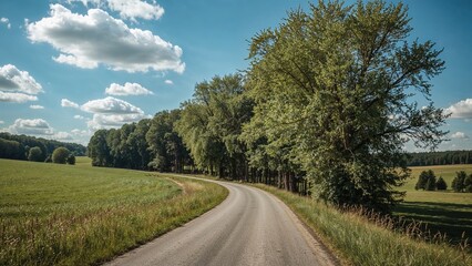 Scenic country lanes amidst green trees in summer