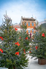 Festive Christmas trees adorned with red bows are arranged in the center of a charming European...