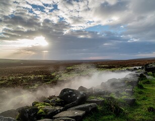 Vapor Threads: Early Morning Fog with Light Shafts