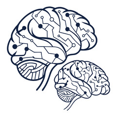 human brain vector illustration