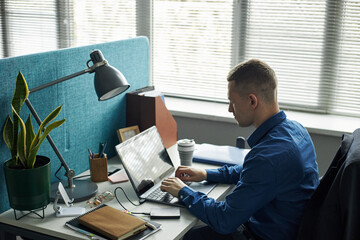 Caucasian young male employee working on laptop at modern office desk, sitting beside potted plant...