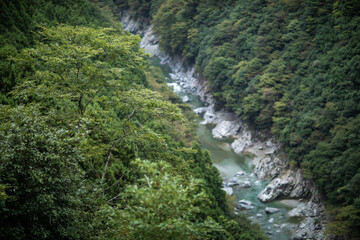 Oboke-Iya Gorge Trail in Tokushima Prefecture, Japan