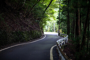 Obraz premium Oboke-Iya Gorge Trail in Tokushima Prefecture, Japan