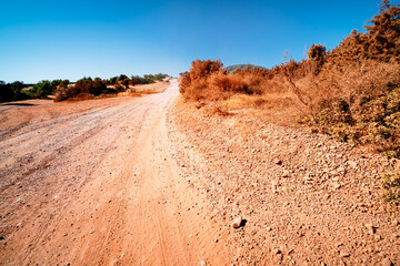 Dirt road on the Akamas Peninsula on a hot day. The road leads to the famous Lara Beach, Paphos, Cyprus.