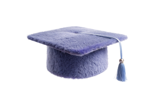 Blue graduation cap with fuzzy texture, square mortarboard top and dangling tassel for academic ceremonies, isolated on a transparent background