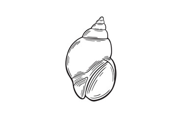 Small snail seashell line art icon. Hand drawn sea shell silhouette. Minimal coastal doodle element for modern decor, logo design, tattoo, beach-themed projects.