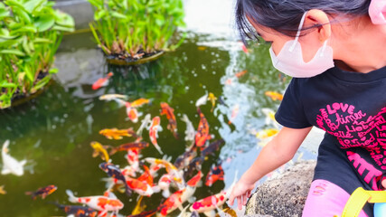 A little girl is enjoying a natural attraction with a natural pond filled with koi fish. The little girl plays with the koi fish that have gathered.