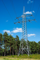 Freileitungsmast neben eienem Kiefernwald