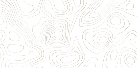 Abstract topographic white background. Seamless wavy lines patter. Geography map grid backdrop. Business concept design. Wave paper curved reliefs background.	