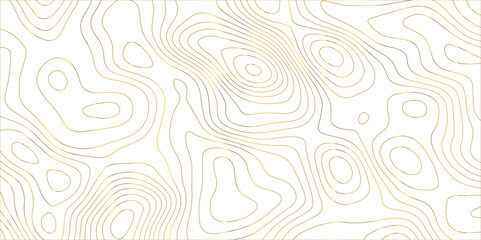 Abstract topographic white background. Seamless wavy lines patter. Geography map grid backdrop. Business concept design. Wave paper curved reliefs background.	