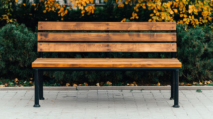 Wooden park bench with metal legs surrounded green bushes and autumn yellow leaves in background