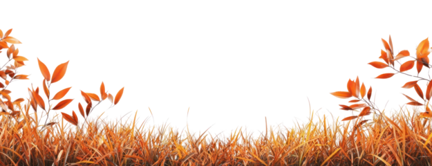 PNG Real autumn grass leaves leaf nature border.