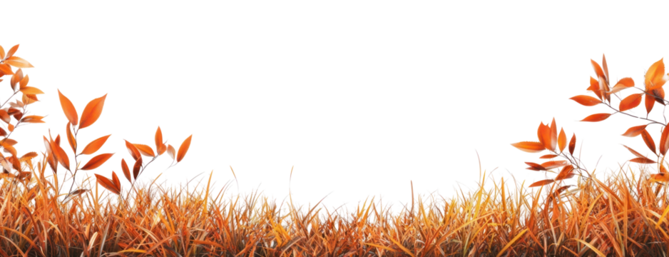 PNG Real autumn grass leaves leaf nature border.