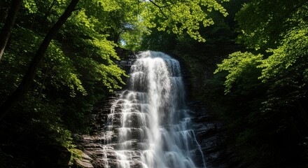 Serene Cascade of Water in a Lush Green Forest