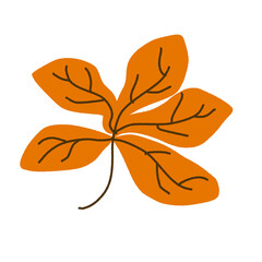 butterfly on a white background