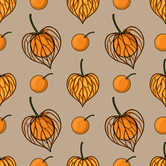 Seamless vector pattern of hand-drawn physalis and oranges on a beige background, featuring intricate line art details for autumnal design.