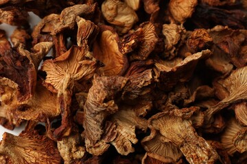 Many dried chanterelle mushrooms as background, closeup