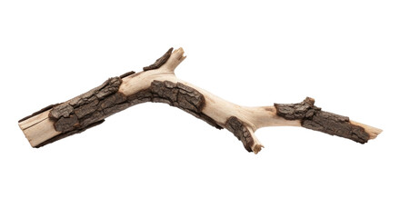 Fototapeta premium Natural rustic wood branch with detailed texture and organic shapes cutout isolated on transparent bg, png