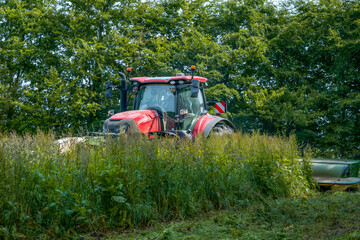 Red tractor mows organic grass for feed hay © LeonHansenPhoto
