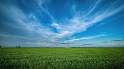Obraz premium Lush Grasslands Under a Sky Filled with Dark and Bright Clouds
