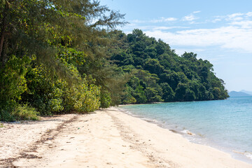 Tropical trees and plants on beach of Ko Naka Noi or Koh Naga Noi island or Naga Pearl island in Andaman Sea in Thailand in Phang Nga province and bay