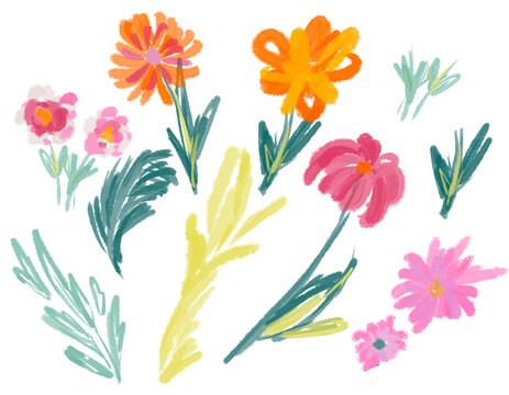 Set of illustration tropical palm leaves flowers